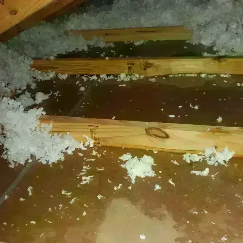 Attic Water Damage in Mecklenburg County, NC