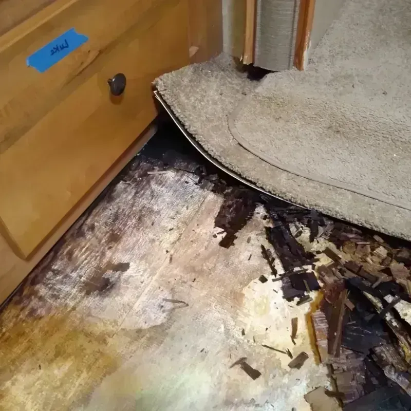 Wood Floor Water Damage in Mecklenburg County, NC